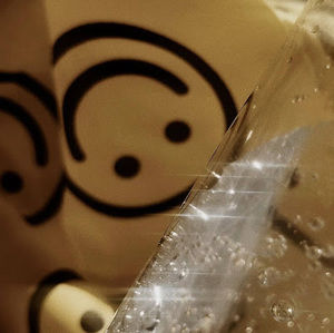 Meet your Posher, Fan